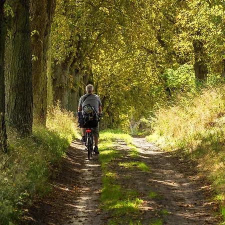 Lägenhet Merlin Ausguck - Familienfreundliche Dachgeschosswohnung Mit Morgensonne *