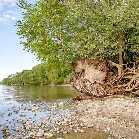 Merlin Ausguck - Familienfreundliche Dachgeschosswohnung Mit Morgensonne